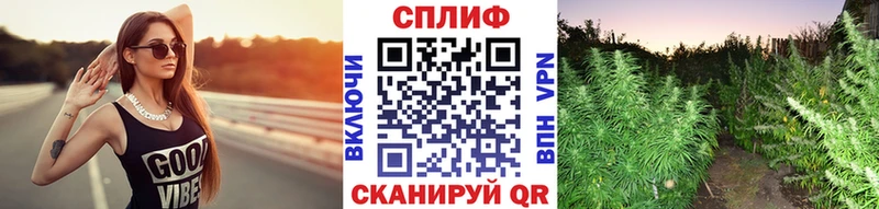 Где найти наркотики Рославль МДМА  АМФ  Меф мяу мяу  ГАШ 