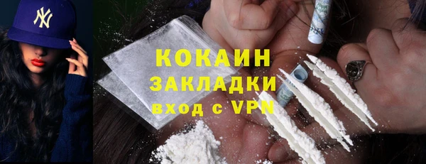 сатива Арсеньев