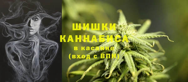 сатива Арсеньев