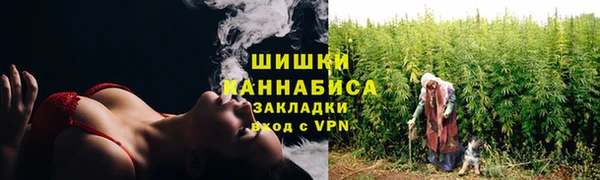 сатива Арсеньев