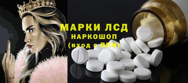 сатива Арсеньев