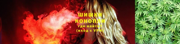 сатива Арсеньев