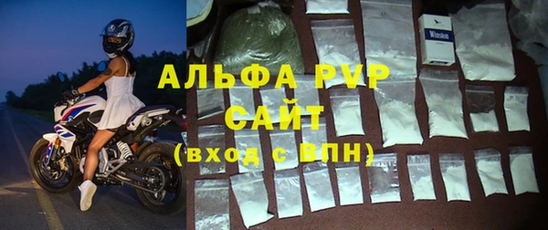 сатива Арсеньев