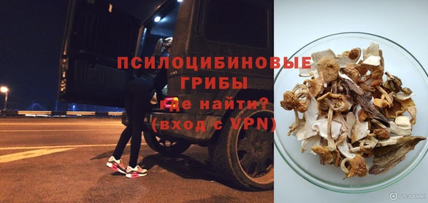 сатива Арсеньев