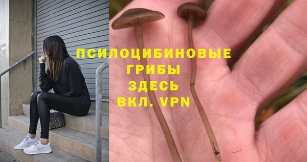 сатива Арсеньев